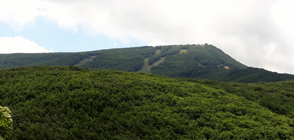 Over the top of the peninsular, and we pass the local ski resort 