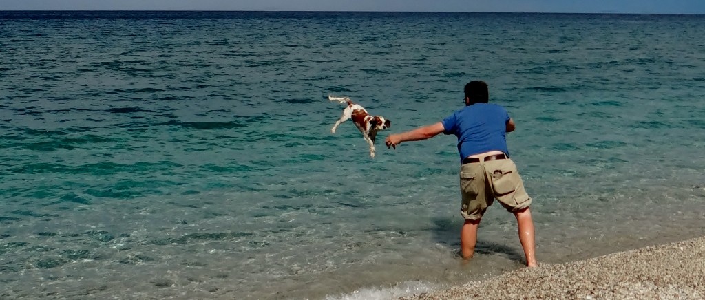 Poor Charlie, the reverse fling is never his best dive.