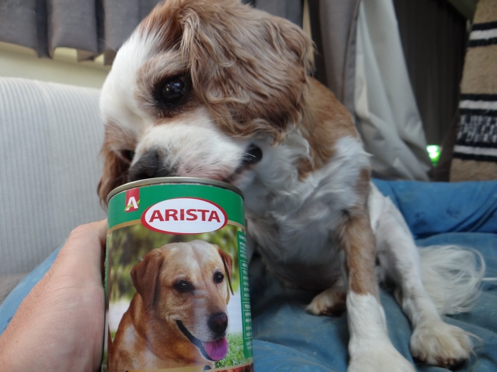 Charlie tries his Greek dog food for breakfast, he seems to like it!