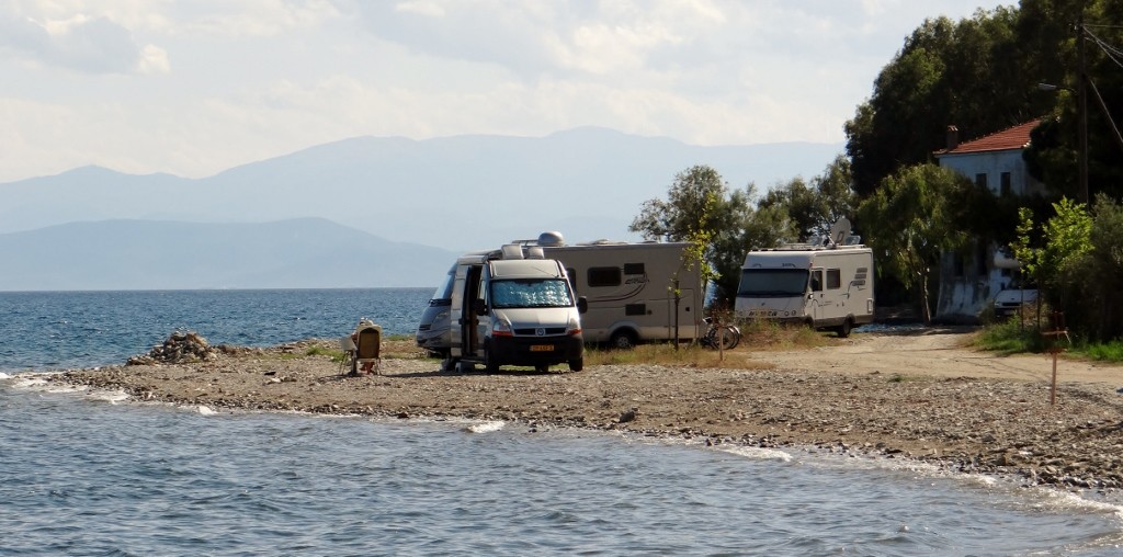 Cheeky free campers!