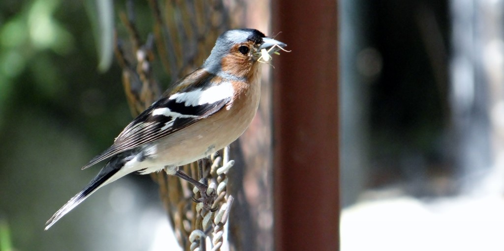 This chap stopped tweeting for a couple of minutes, now I can see why!