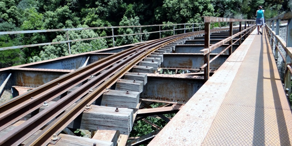 I get to carry petrified pooch back over the bridge