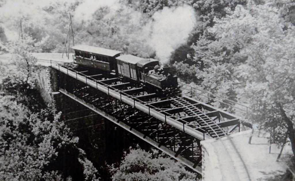 The steam train and the iron bridge