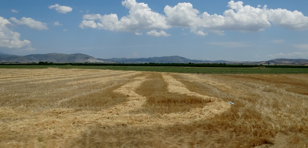 Autumn images back home happen in early summer here