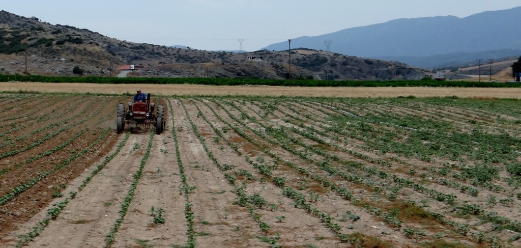 A busy time for farmers 