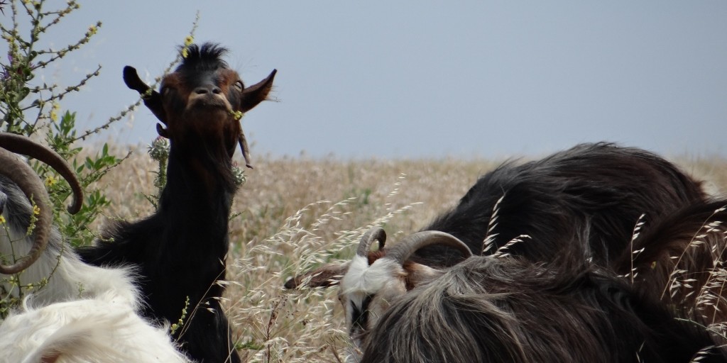 No photos please we're eating!