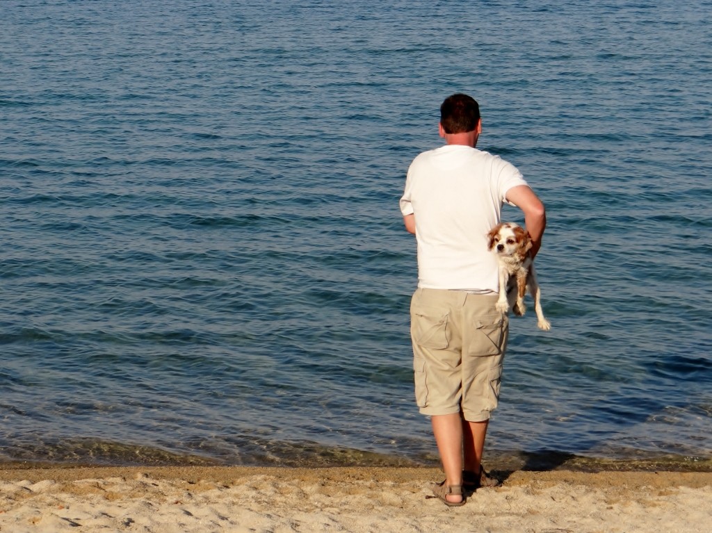Guess who is off for a cool down in the sea? Poor pooch!