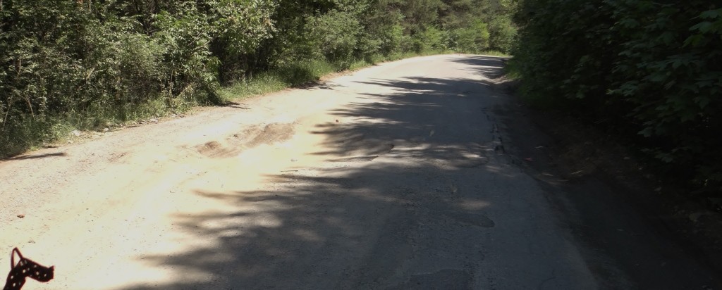 You can't see it too well, but in the sun is the van killer pot hole, more of a crater than a pot hole if you ask me!