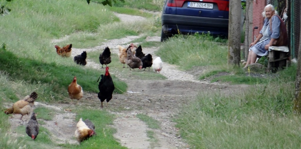 We couldn't see curtains twitching, but the place was so quiet we must have been being watched