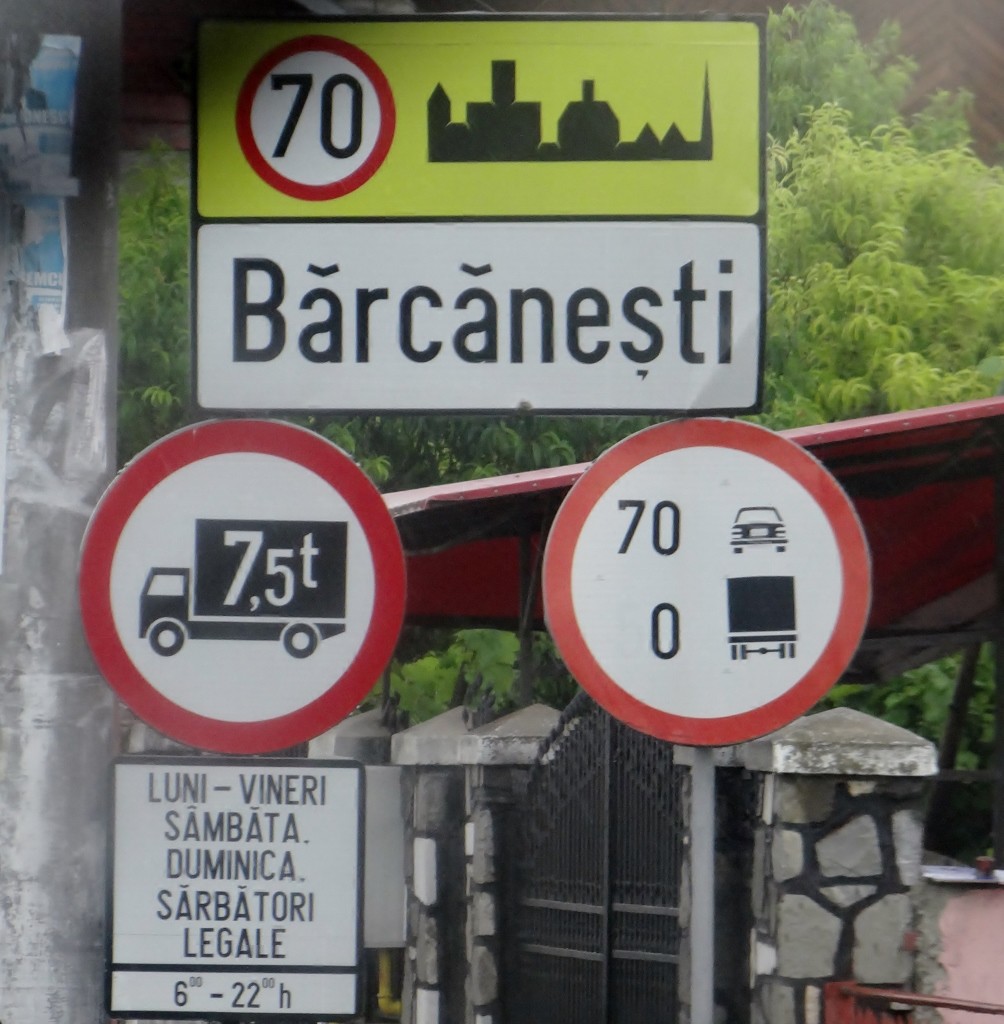 DSC09679 (1004x1024)