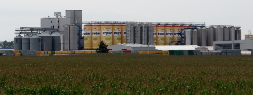 A new law needs to be passed, all breweries should be made to look like beer cans!