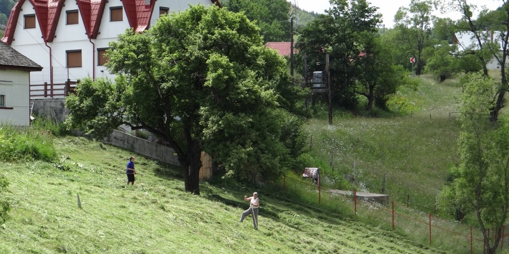 No matter how steep your slope, it still needs scything