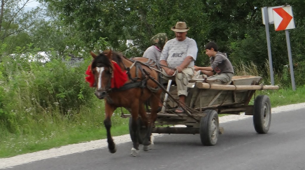 Asleep at the reigns?