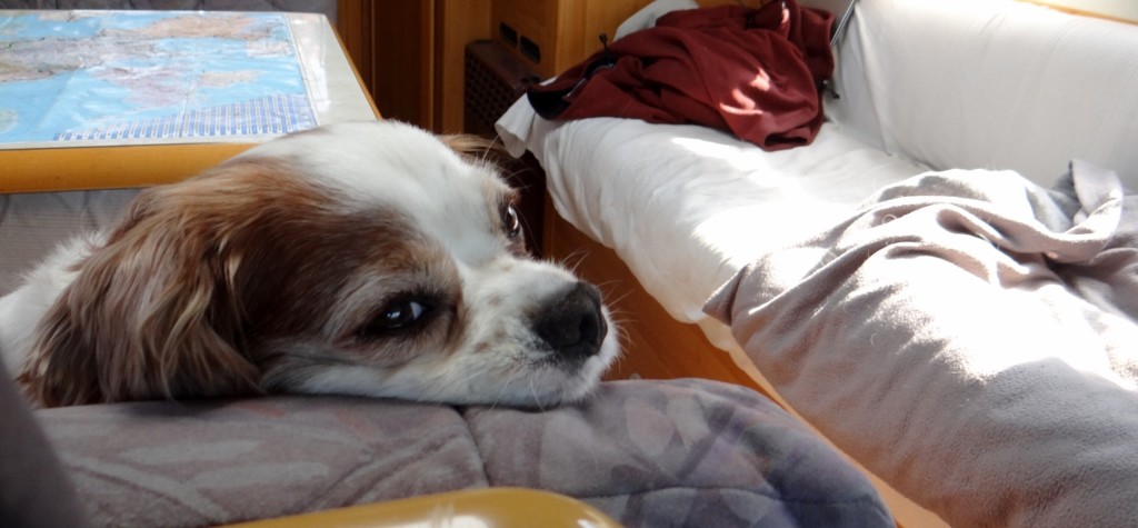 I'm pretty sure he's thinking - Are we nearly there yet?