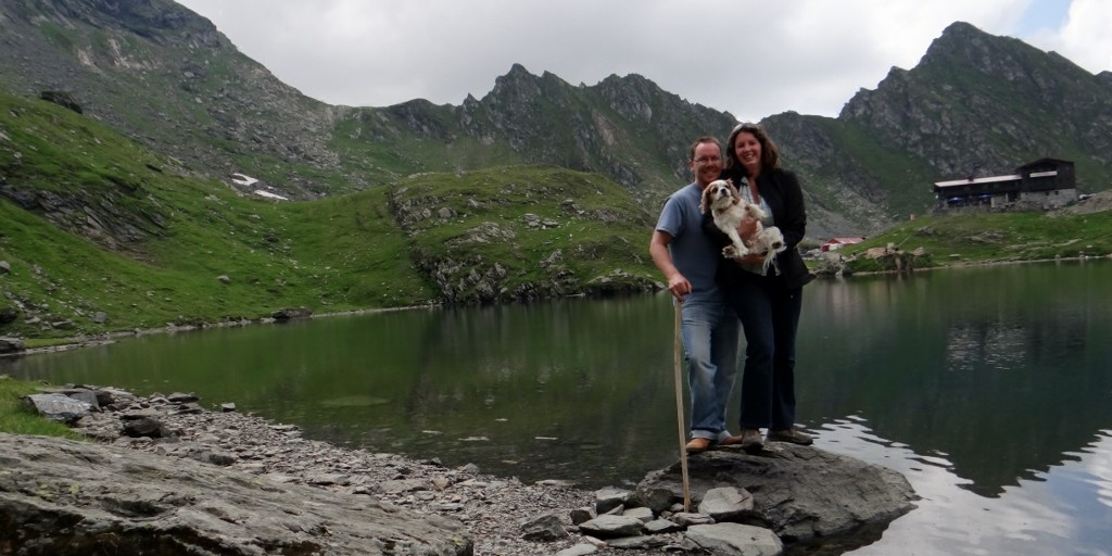 Standing on a rock in Balea Lake, Charlie wasn't very impressed.