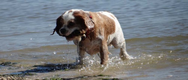 Charlie gets salty...