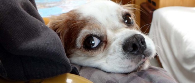 Are we nearly there yet?