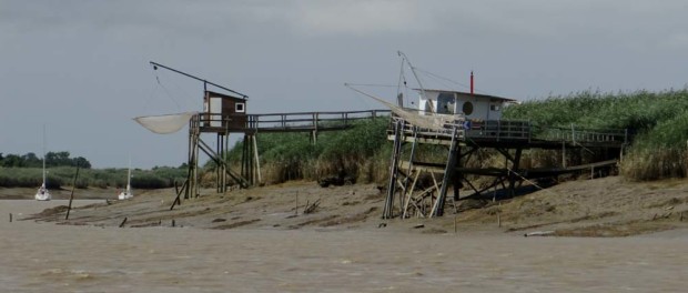 Easy fishing - lower the net, raise the net - collect and eat fish.