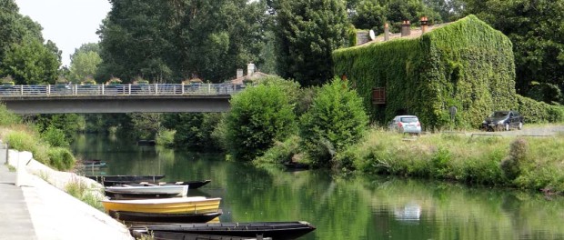 I'm sure there used to be a house around here somewhere!