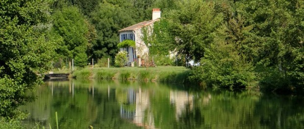 That's why they call it Green Venice