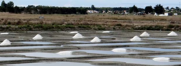 Salt pans 