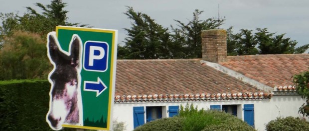 One for Jay's Mum as I'm sure she is missing the donkey's at Skegness!