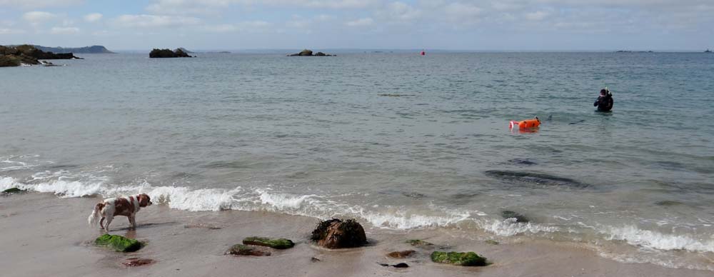 Charlie barks non stop at the water demanding it return Jay and Paul to him!