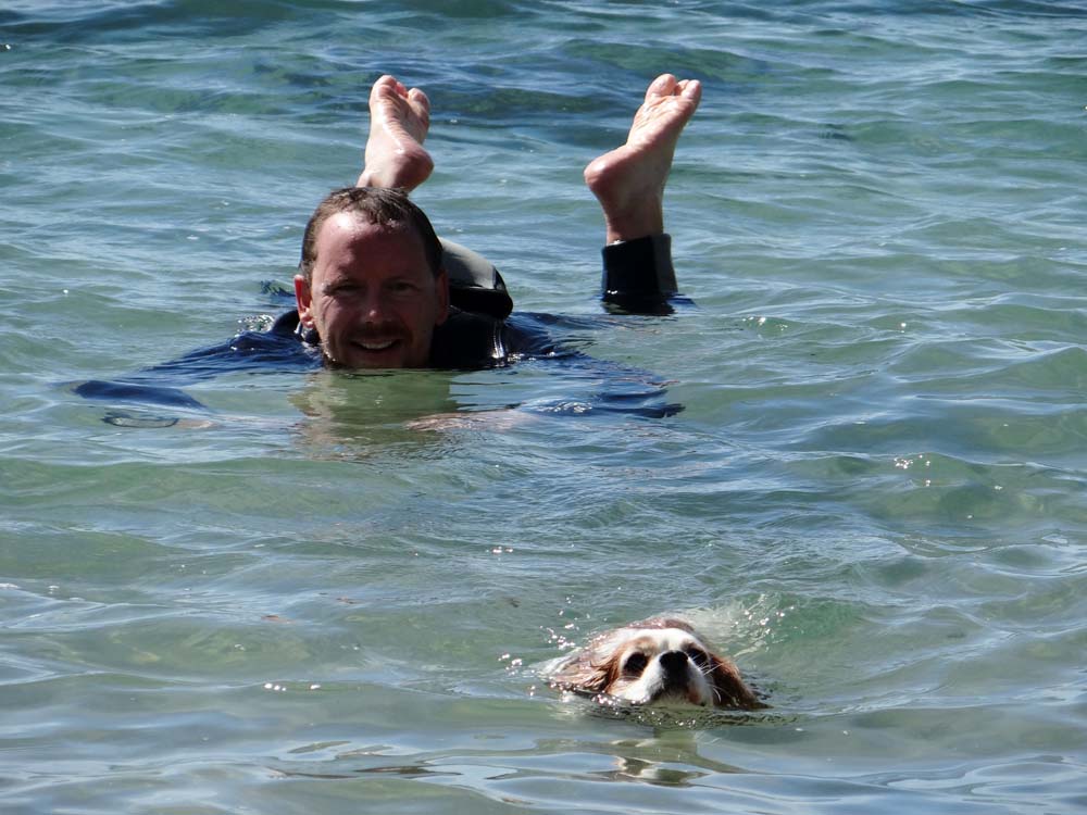 Jay's back - swimming lesson time for Charlie!