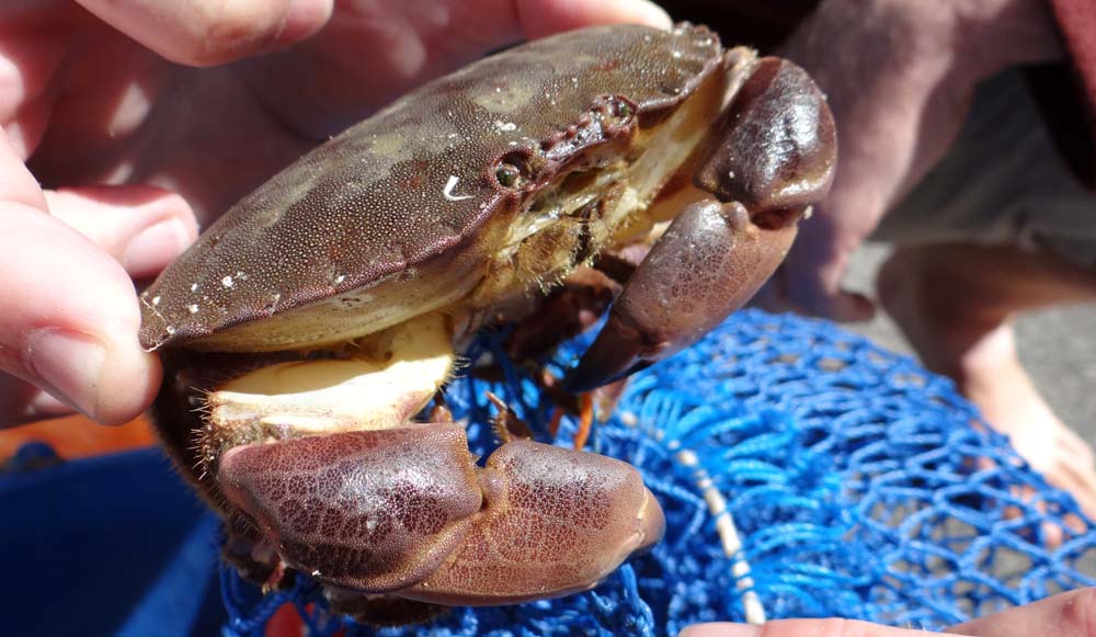 If you spot this fella on the beach, listen in to his story of the ones that got away!