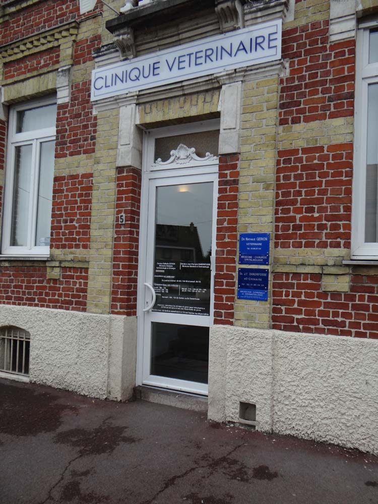 The vets at St Omer - not Mogwai's favourite place.