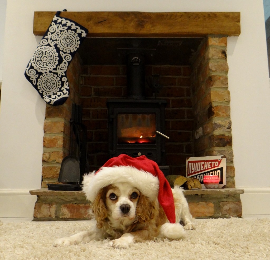 Christmas Charlie loving the wood-burner