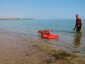 !cid_56034565-05C2-44C2-B86D-FAF6C10CDDBD