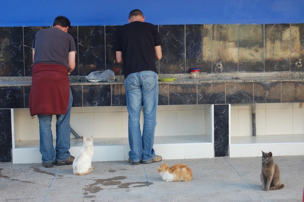 Me and Chris Gutting Fish in Morocco, Feb 2012