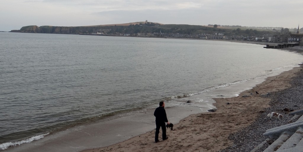 Charlie loves a beach!