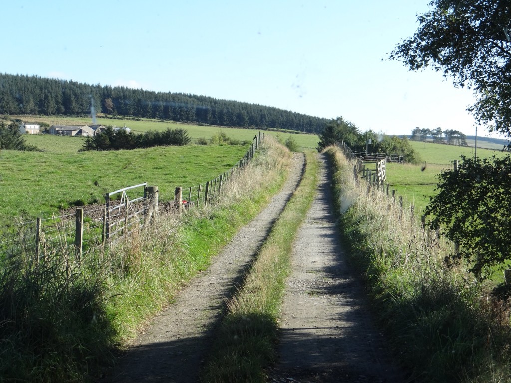 The rutted track to Rogers! Apologies for the fly splats - the good old rain has now washed 'em away.