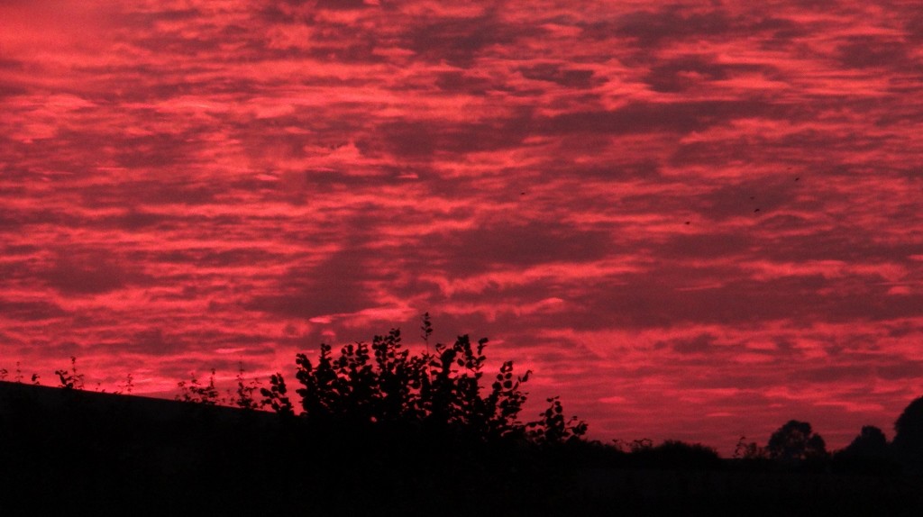 Amazing sunset tonight