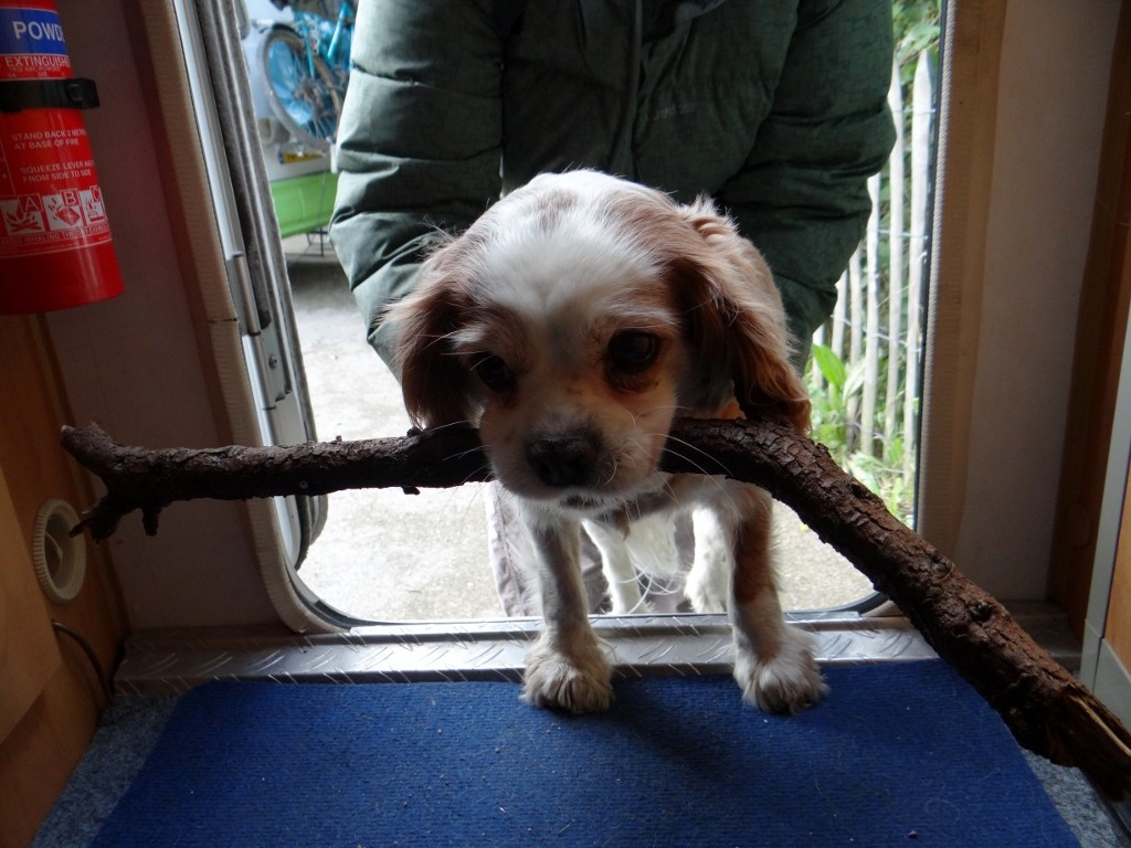 Of course, the stick had to come back to Zagan even if it was too wide for the door!