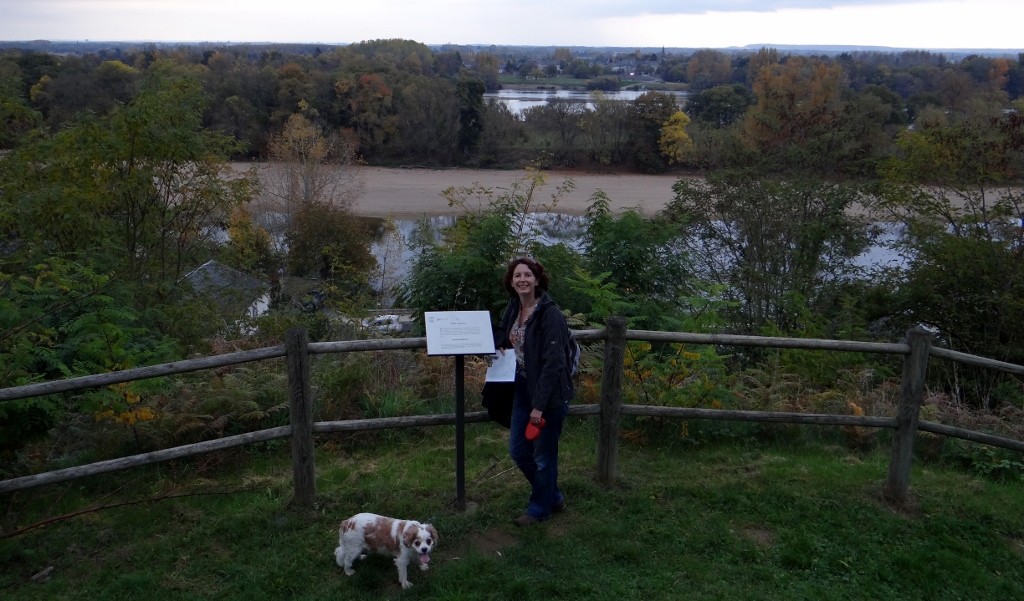 View of the Loire