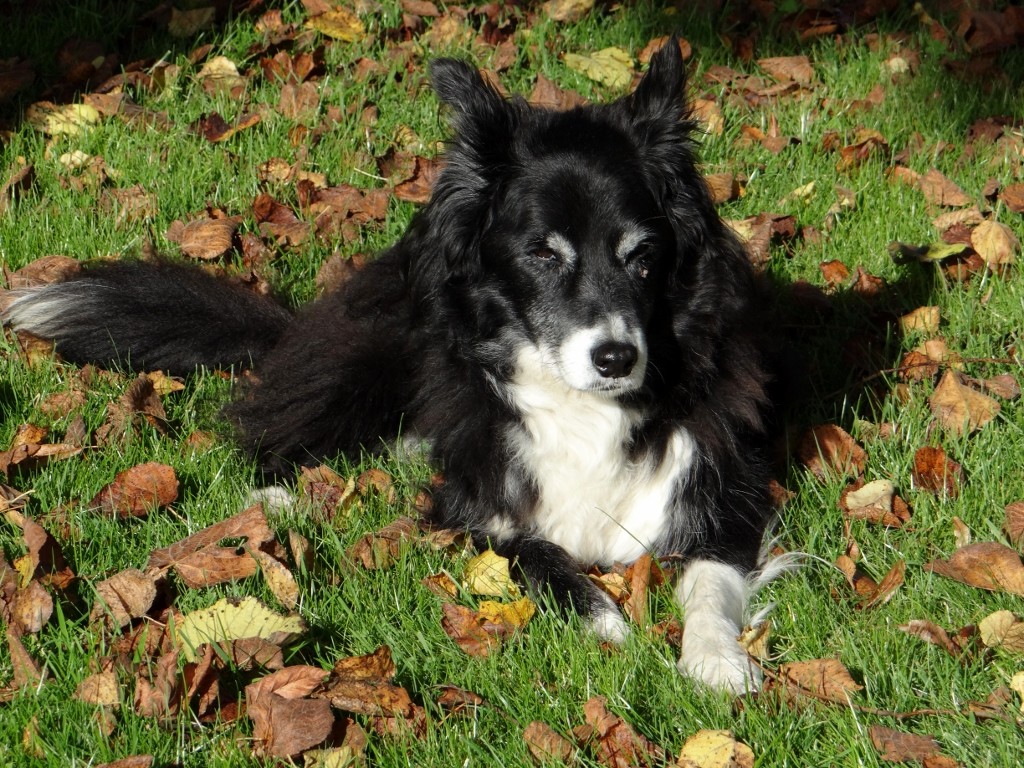 Bruce wanted his own photo!