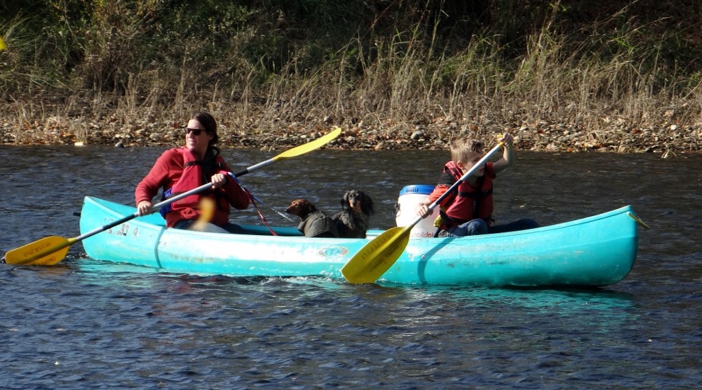 I hope Mum & Dad don't get any ideas!