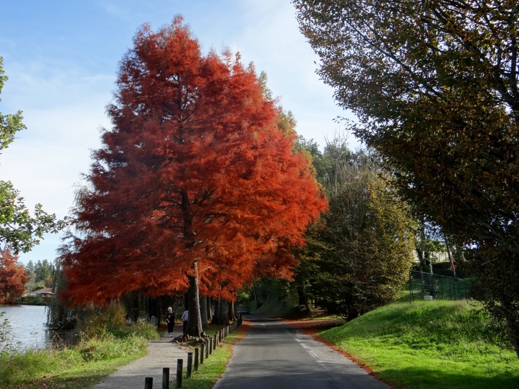 Looks like we've headed back into Autumn