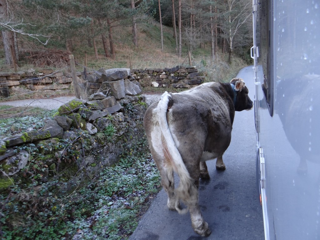 She point-blank refused to move more than a foot. We edged past. 