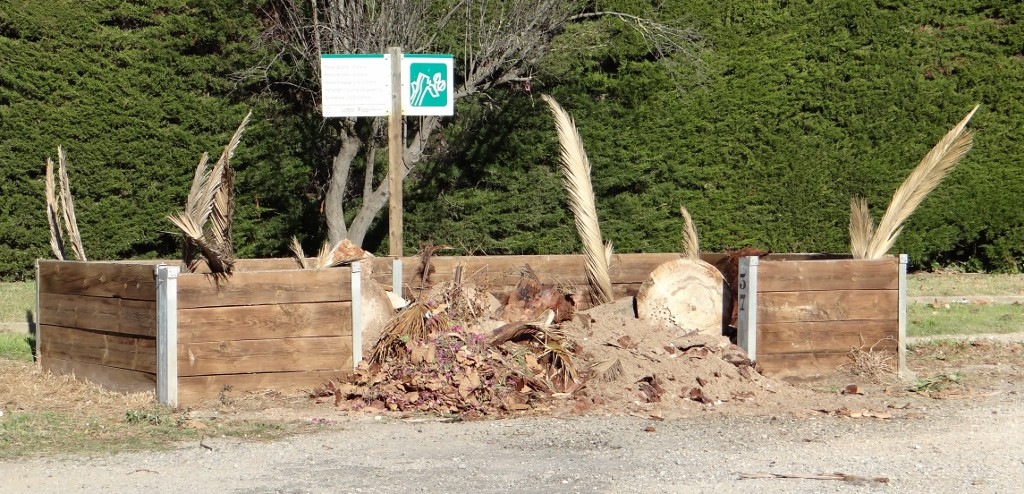 You dump your palm tree offcuts in special collection points here - nice idea.