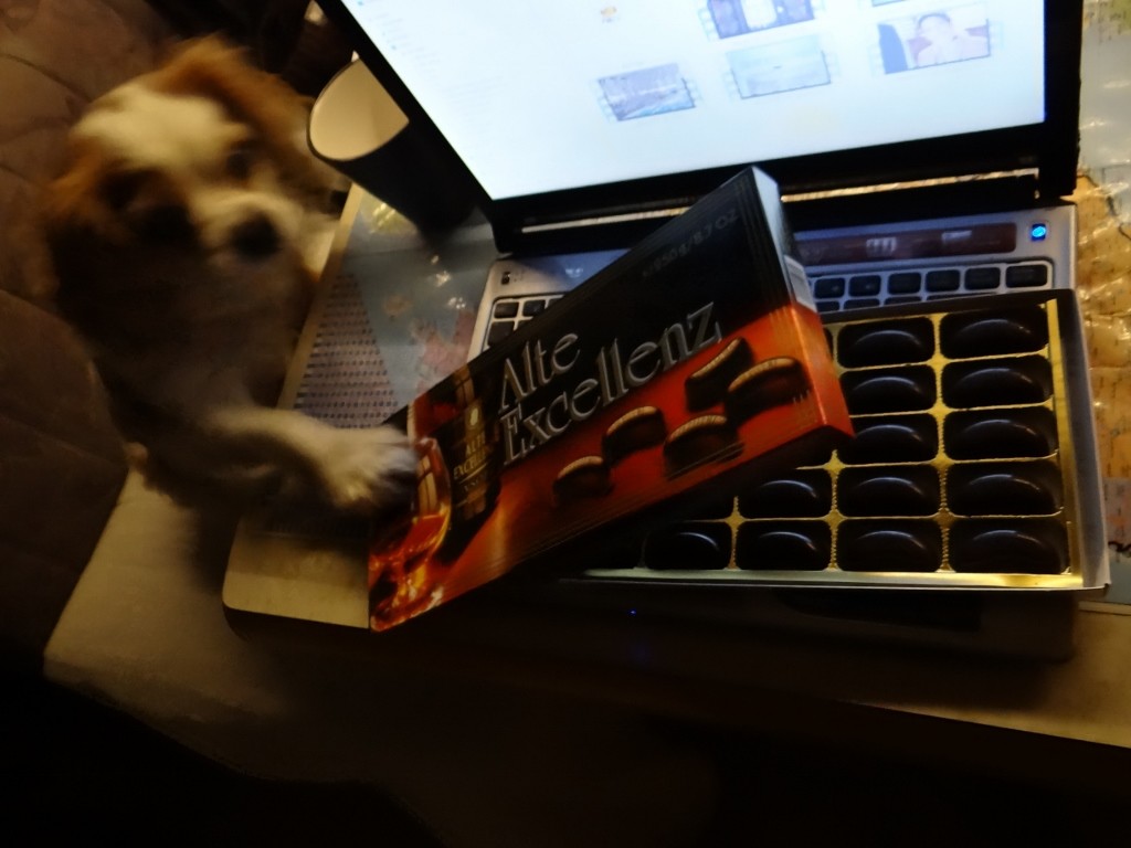 Lidl's Brandy filled chocs are yummy