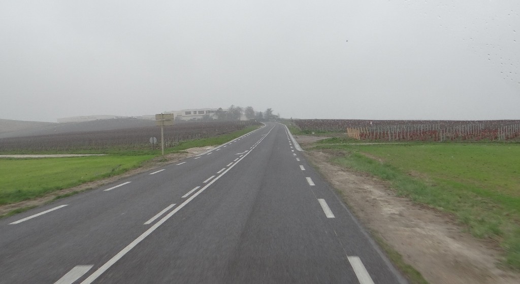 Crossing an invisible line, and the Champagne vines sprout from the earth.