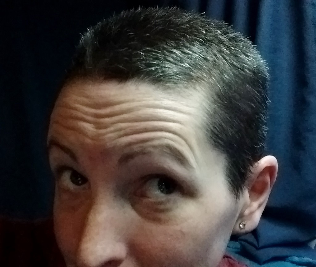 IMG_20160227_181348256 (1024x863)