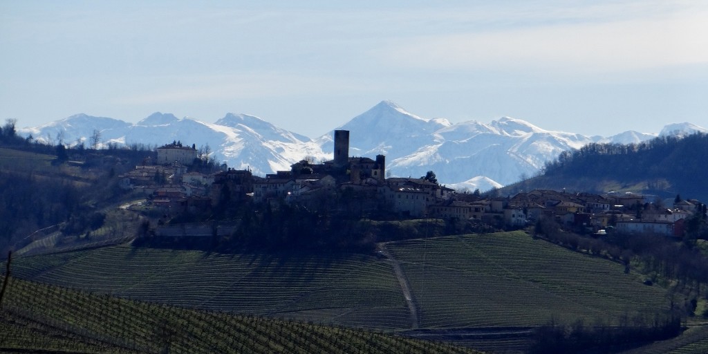 Even more La Morra! We took 632 photos there. A slight exaggeration, but not much.