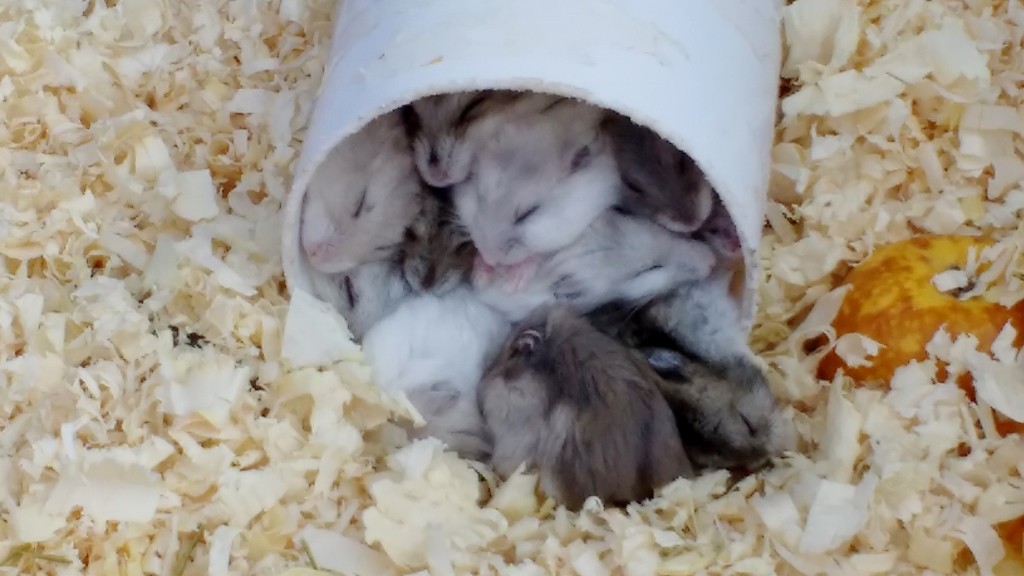 IMG_20160327_105638664 (1024x576)