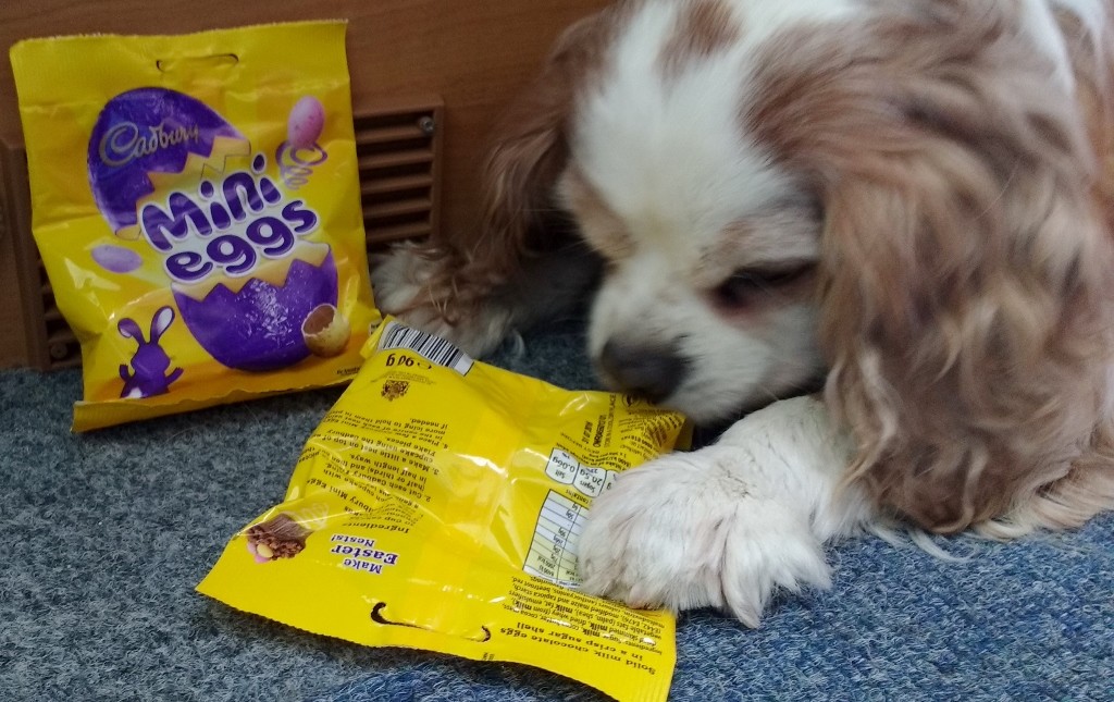 IMG_20160327_121340409 (1024x645)