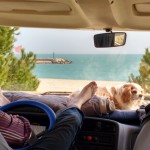 Charlie on Motorhome Dashboard